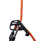 Vibrant Orange-White