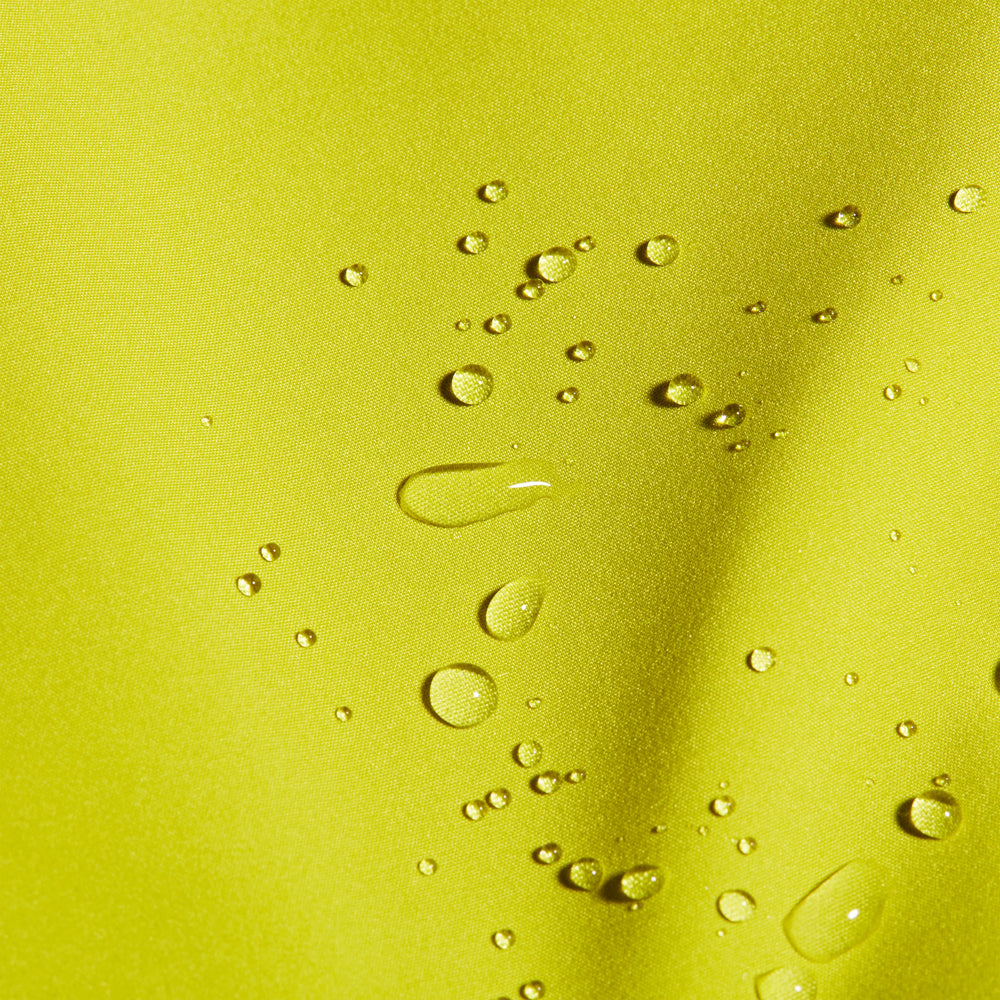 acacia