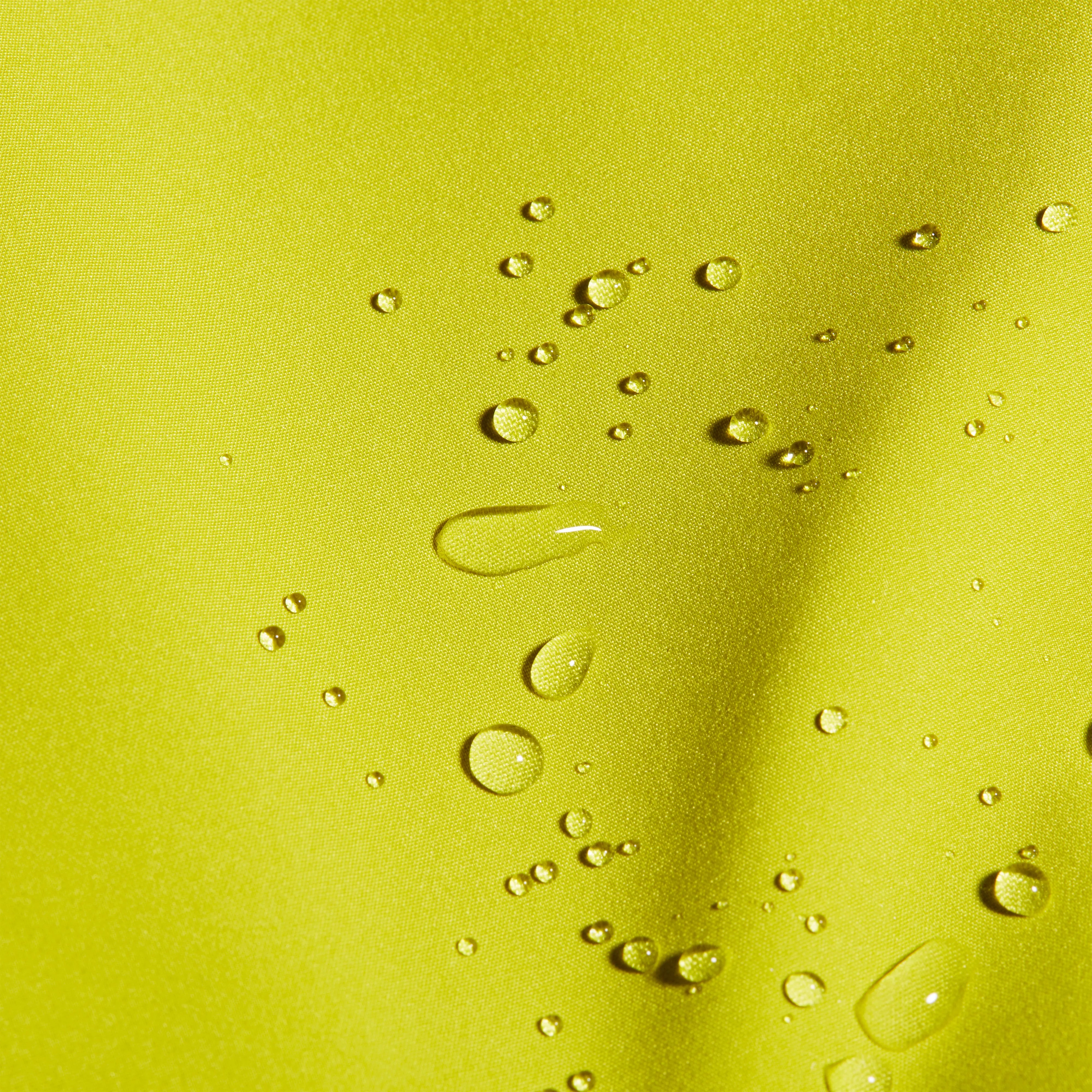 acacia