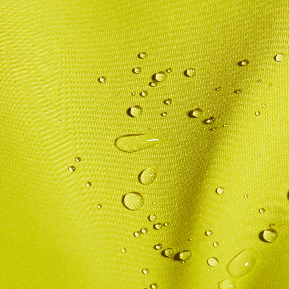 acacia