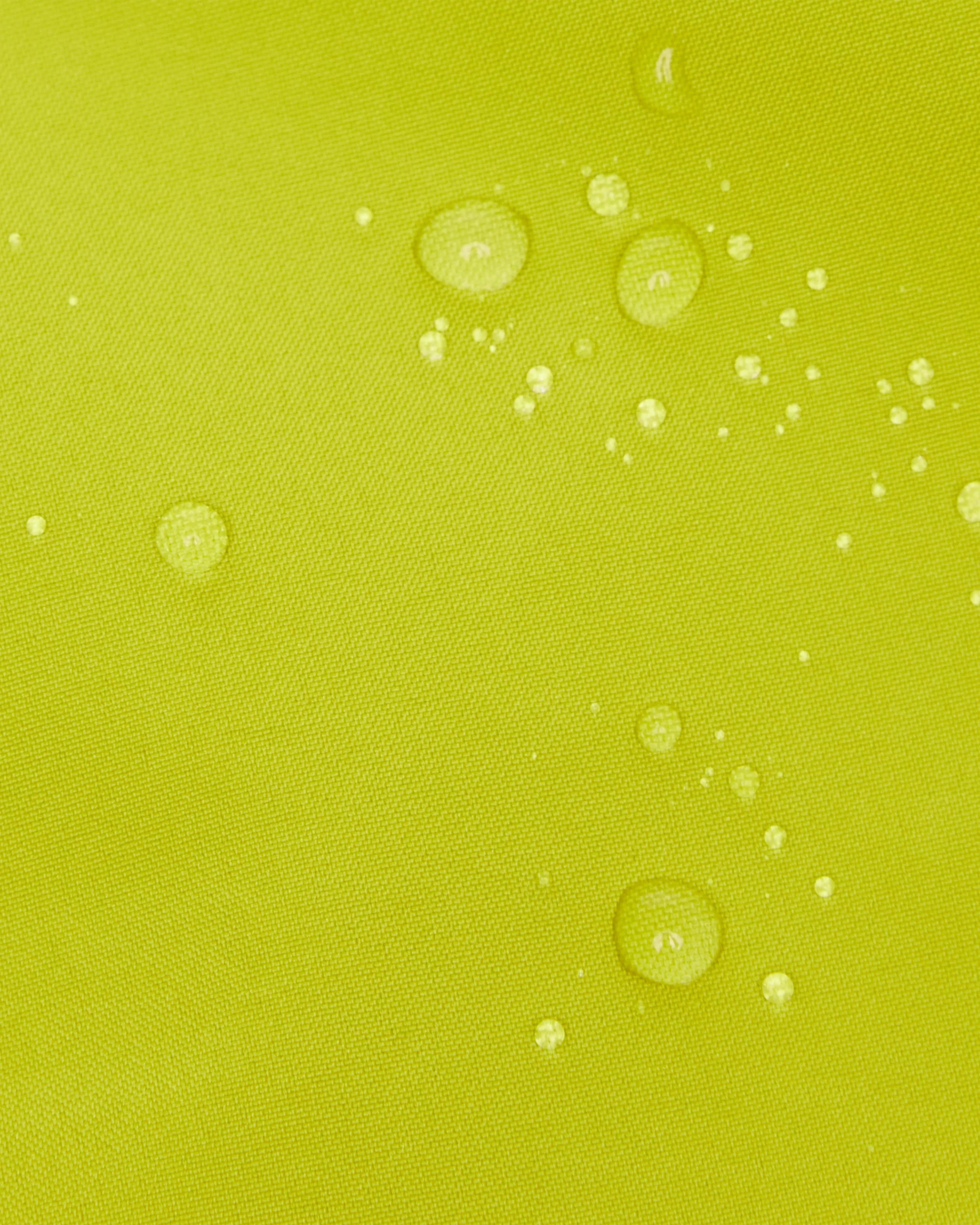 acacia