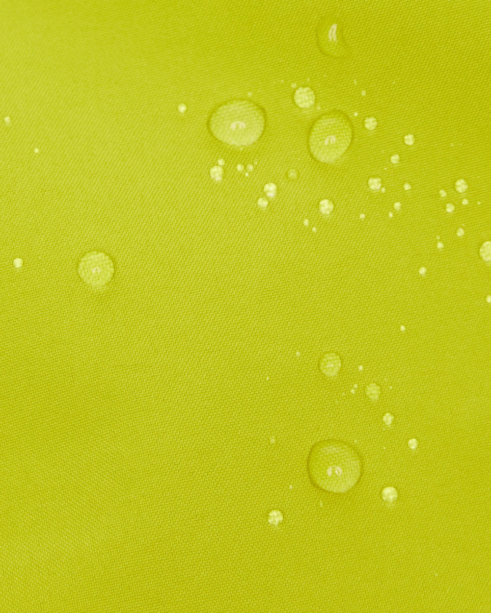 acacia