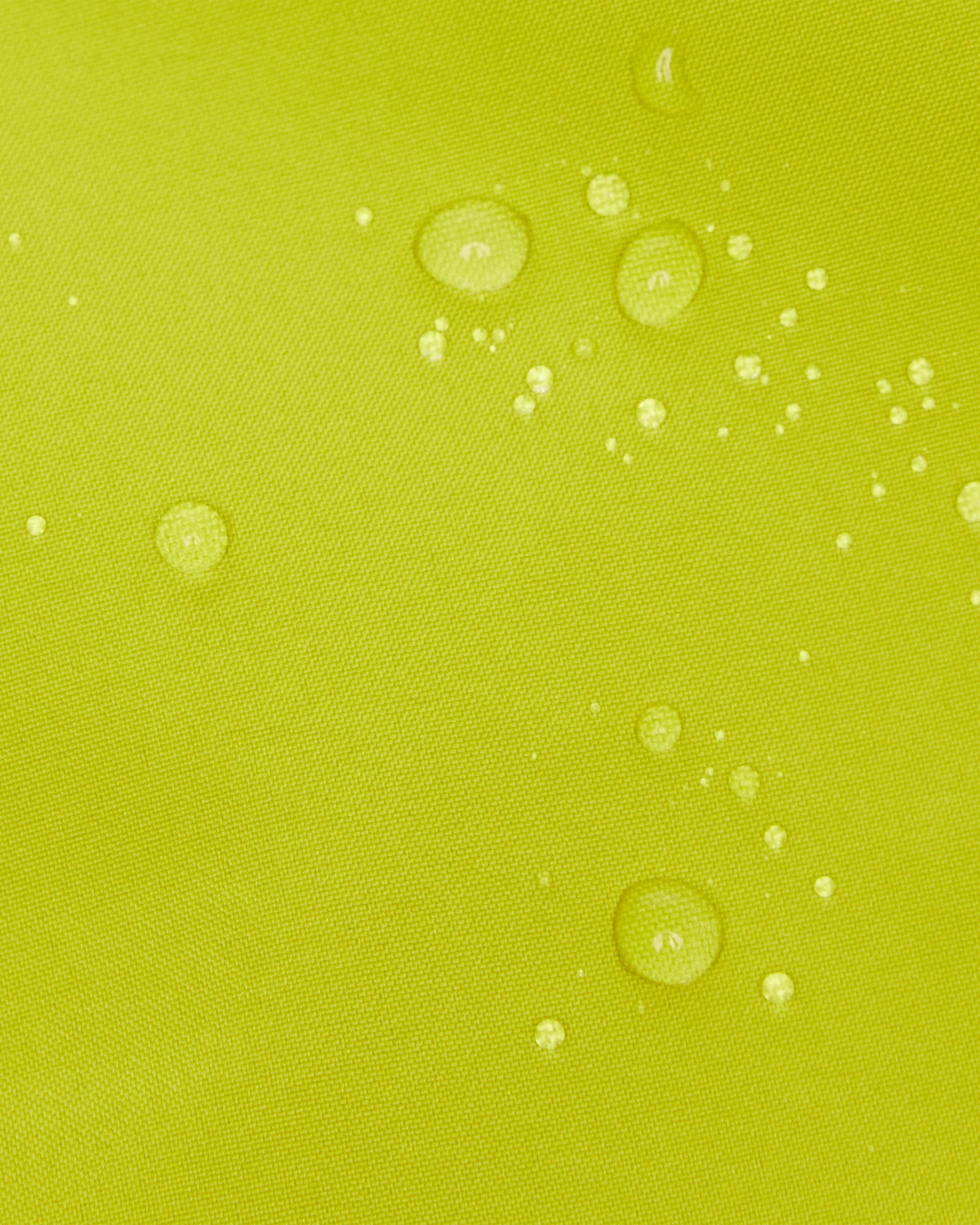 acacia
