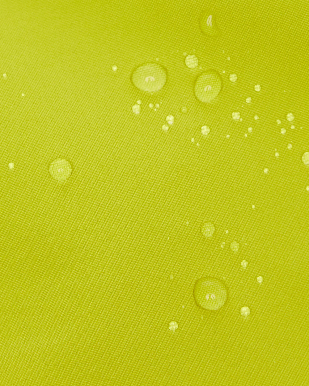 acacia