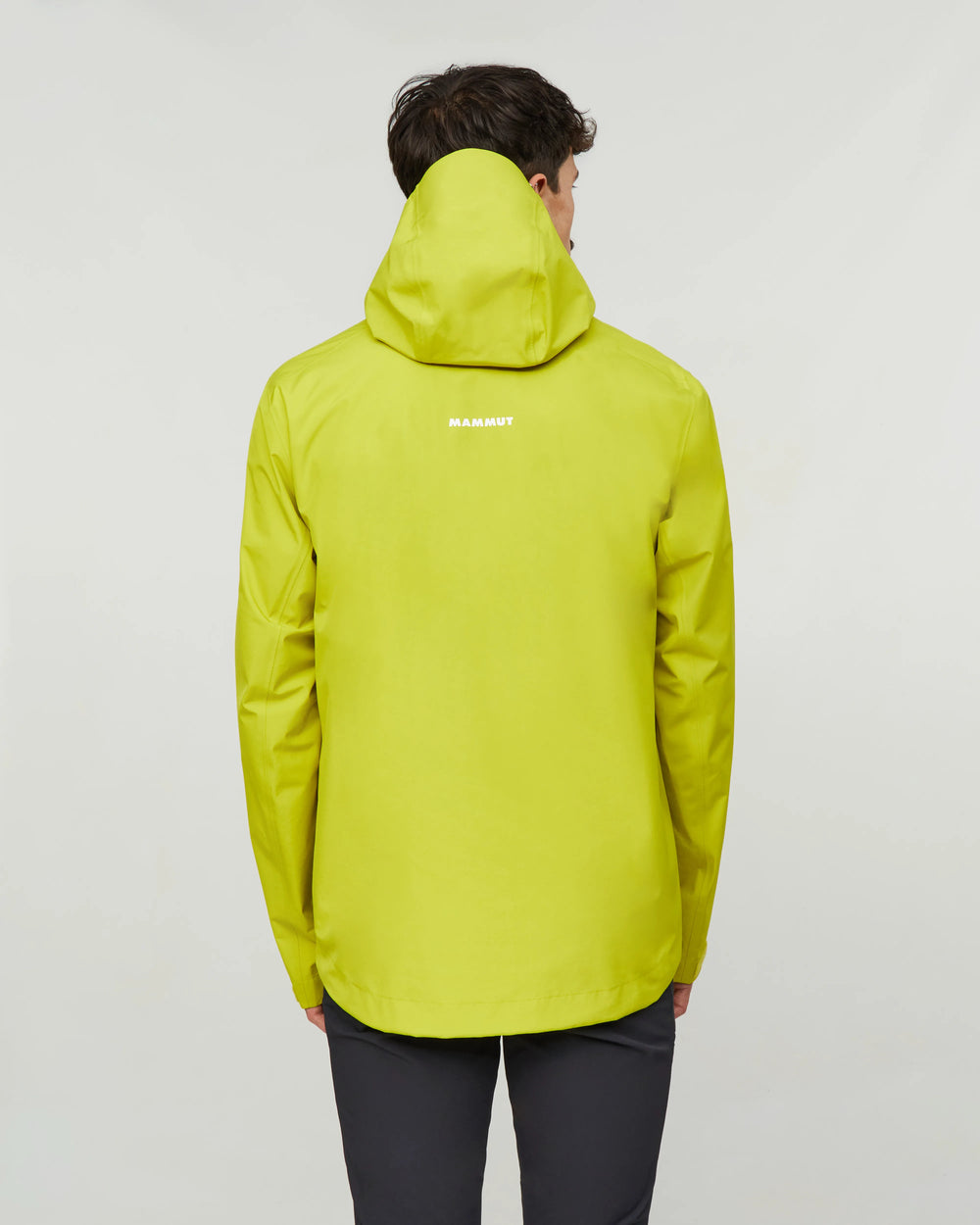 acacia