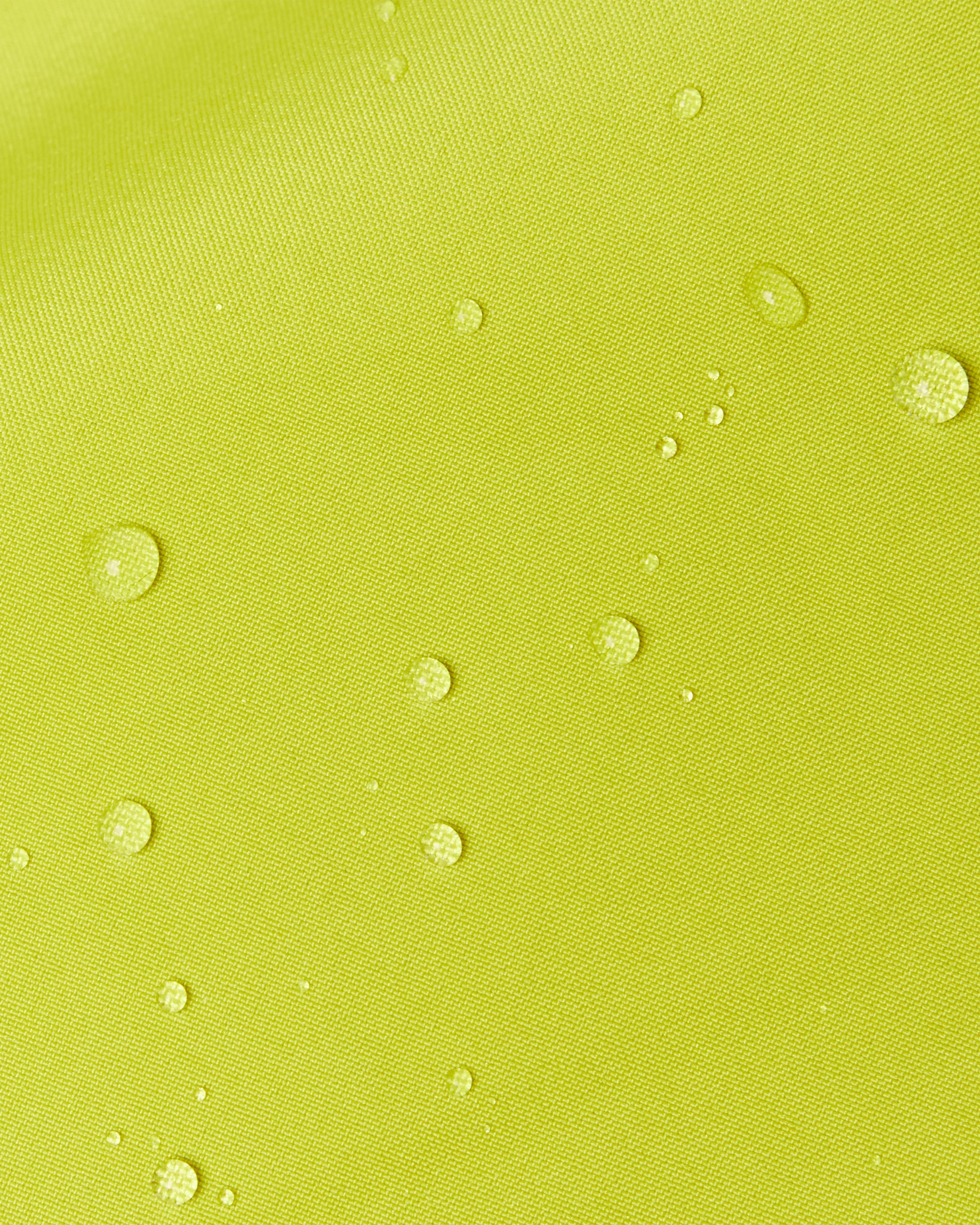 acacia