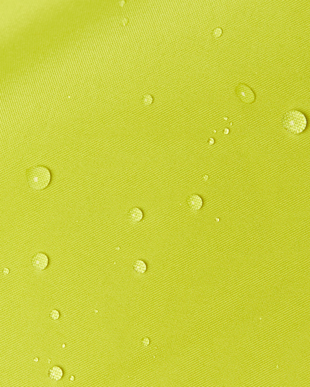 acacia