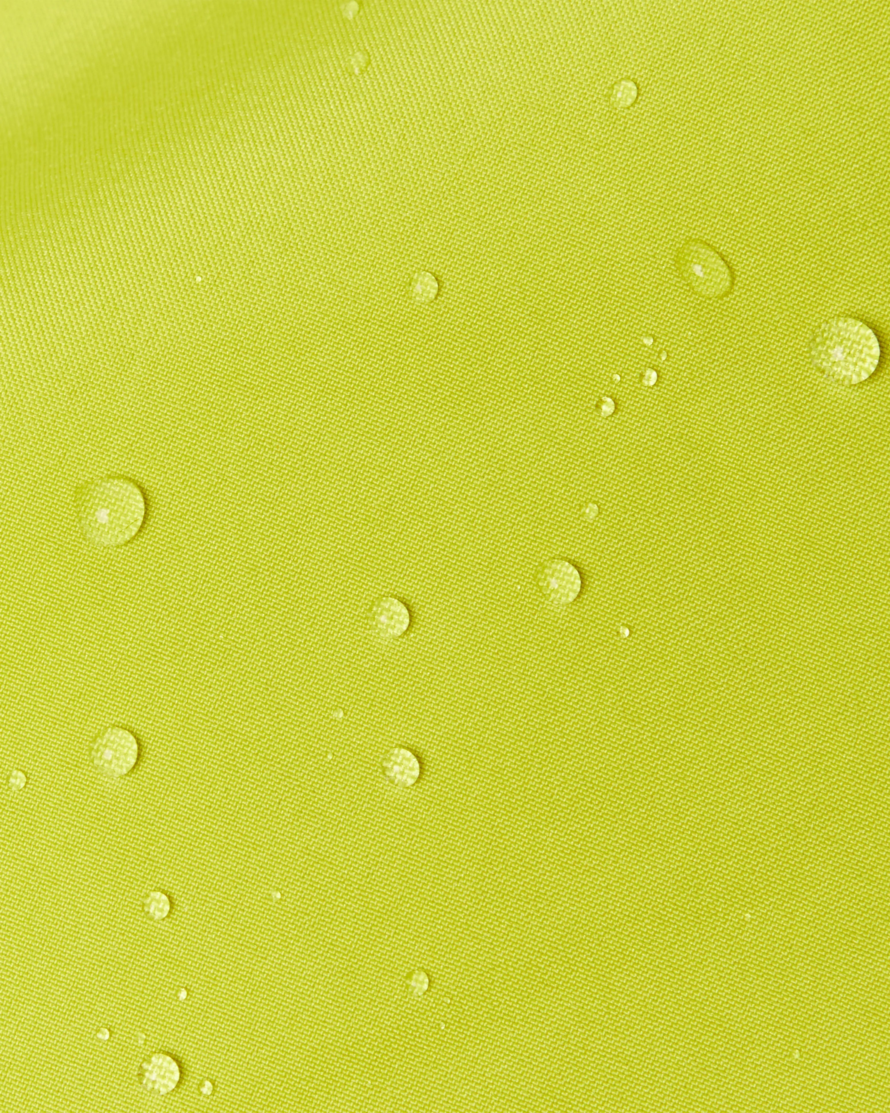 acacia