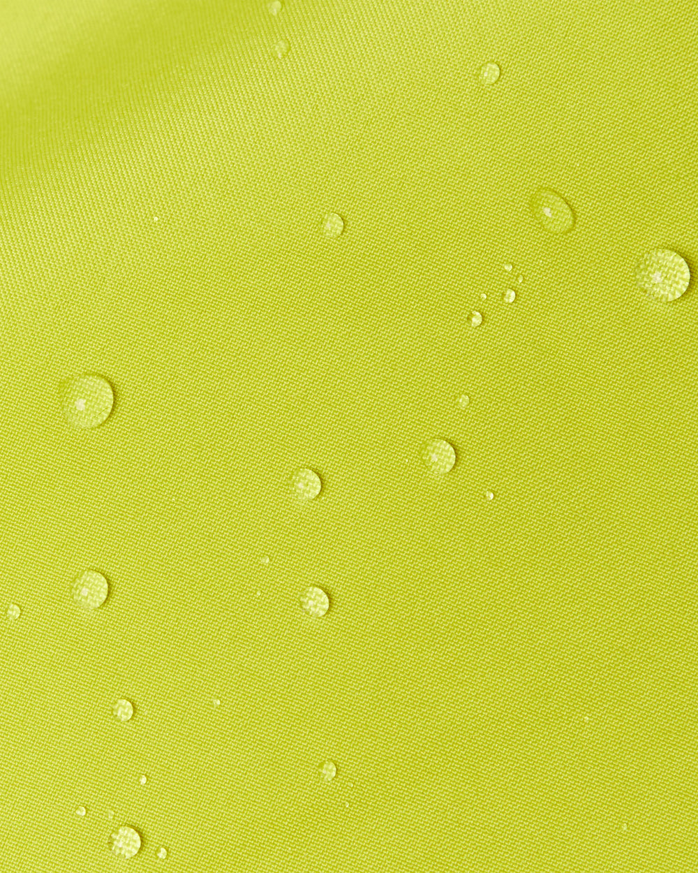 acacia