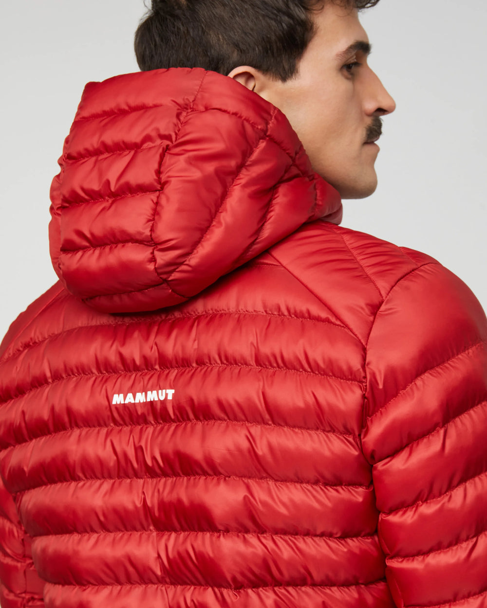 dark mammut red