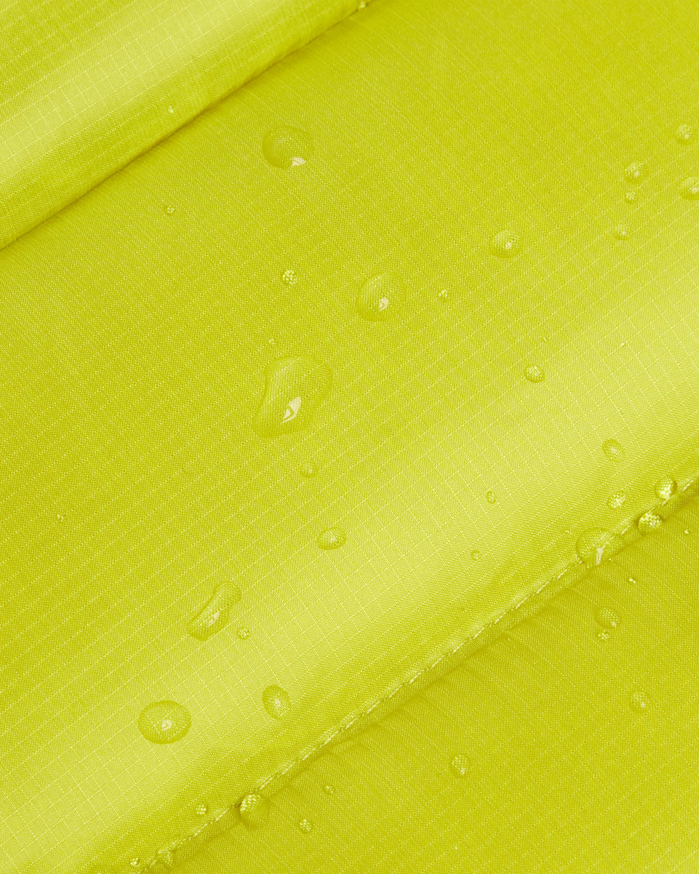 acacia