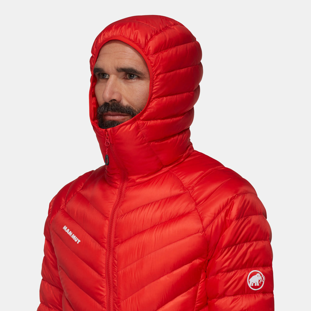 mammut red