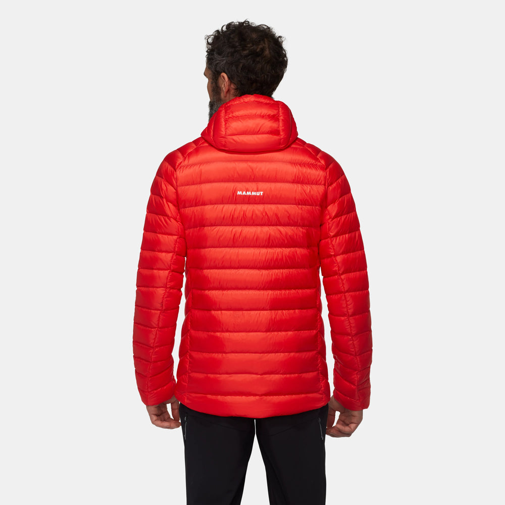 mammut red