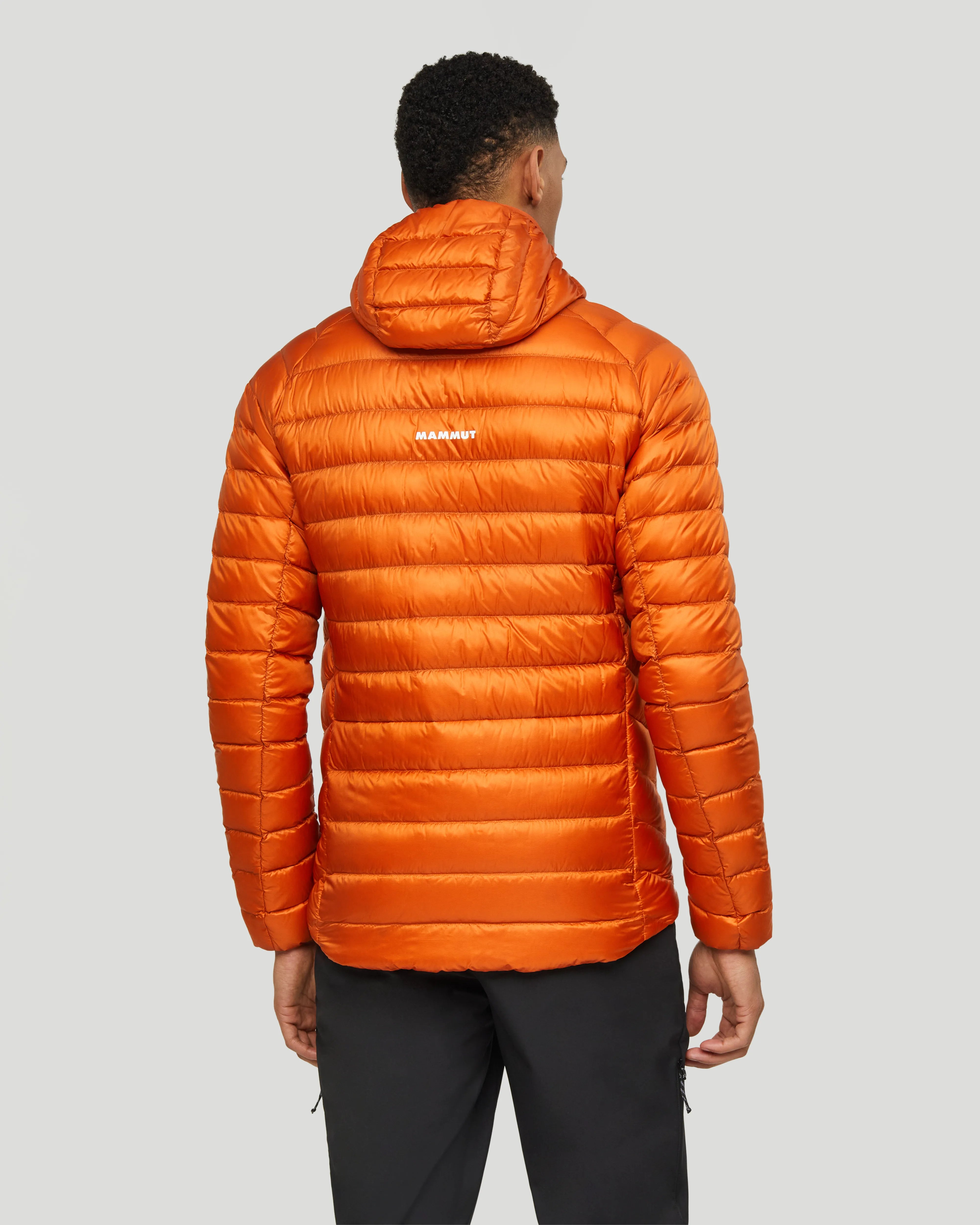 autumn larice