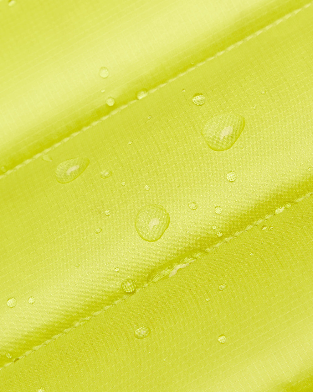 acacia