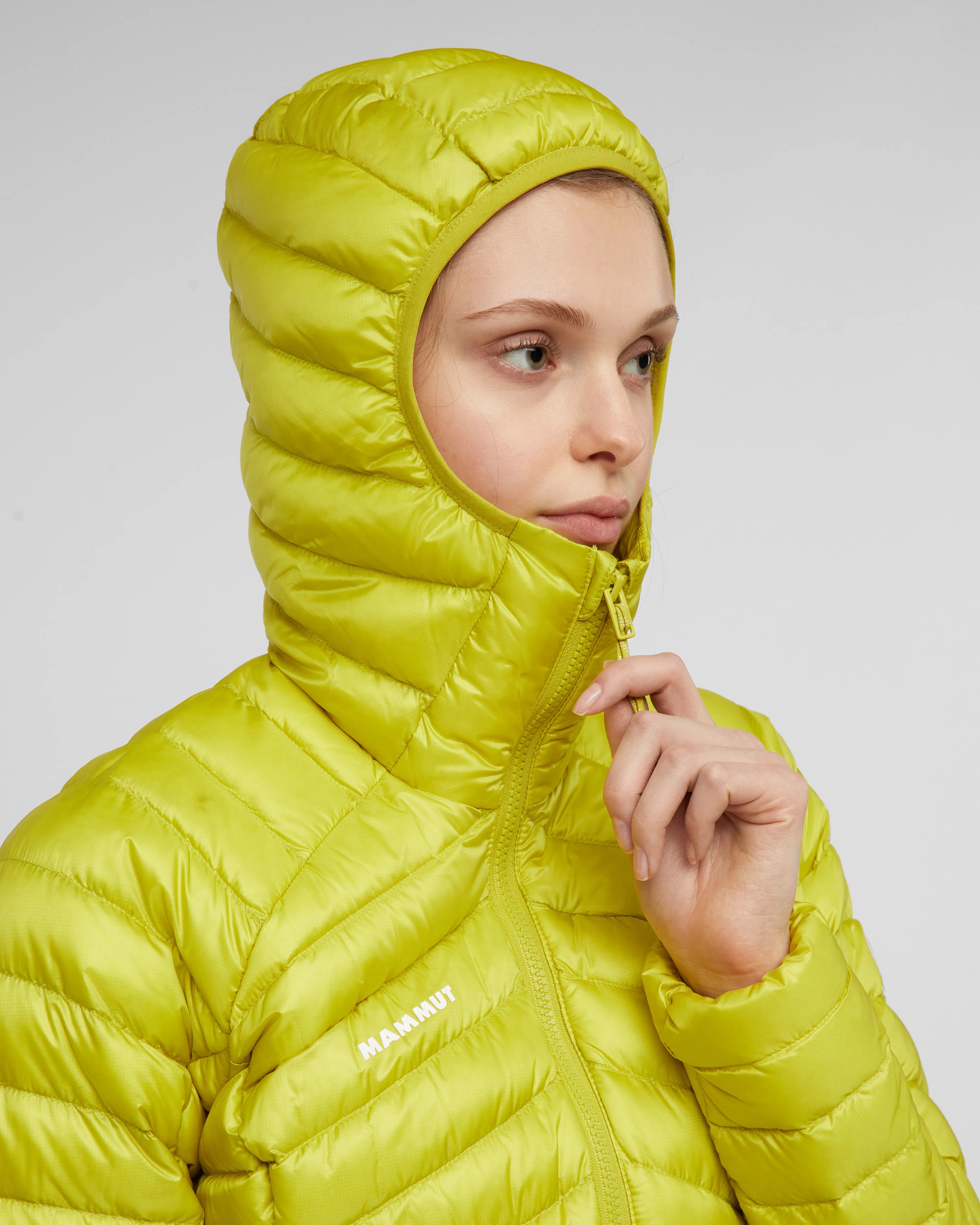 acacia