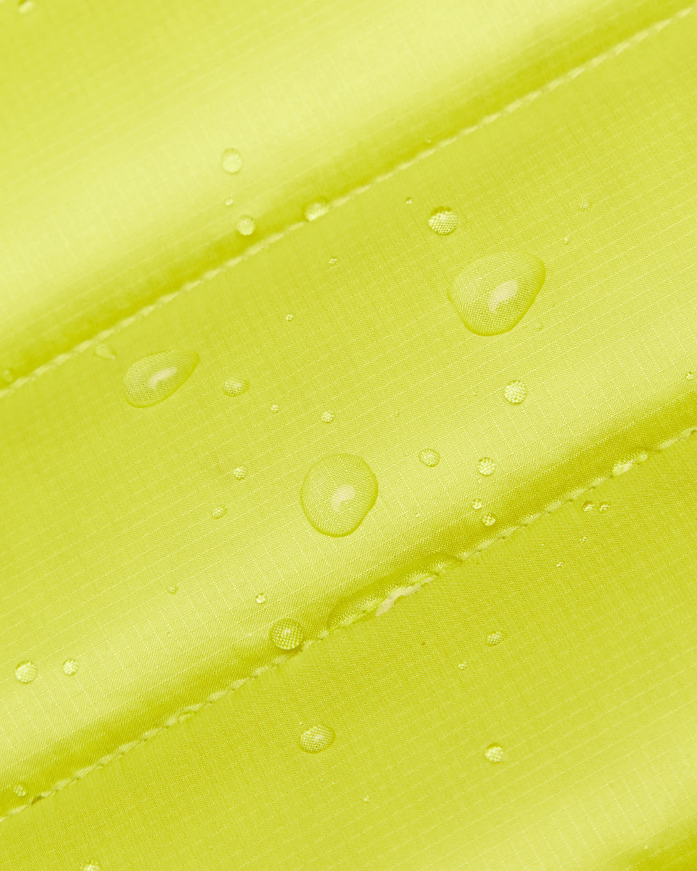 acacia