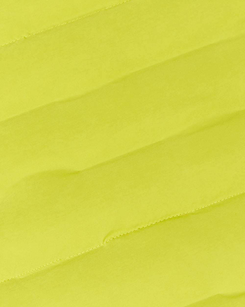acacia