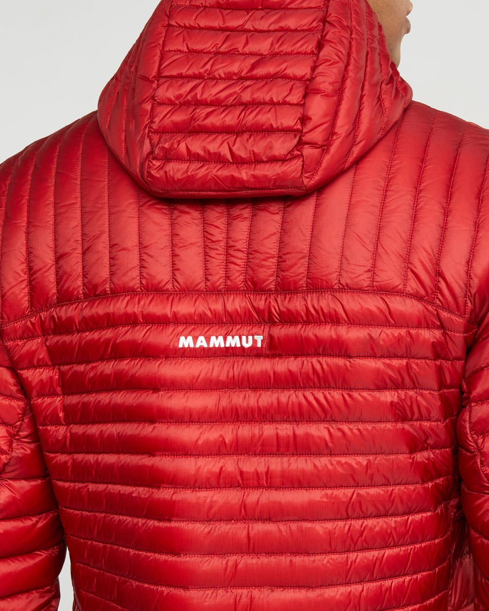 dark mammut red