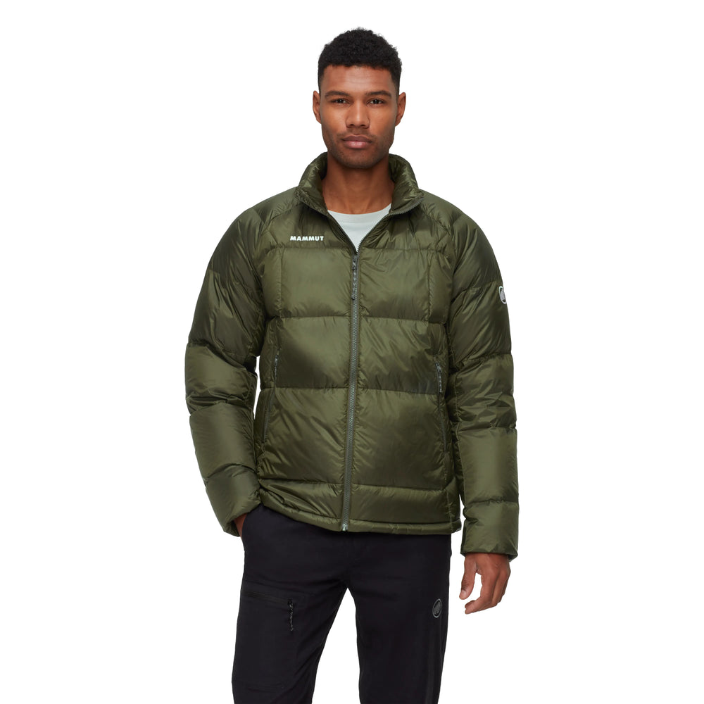 dark marsh