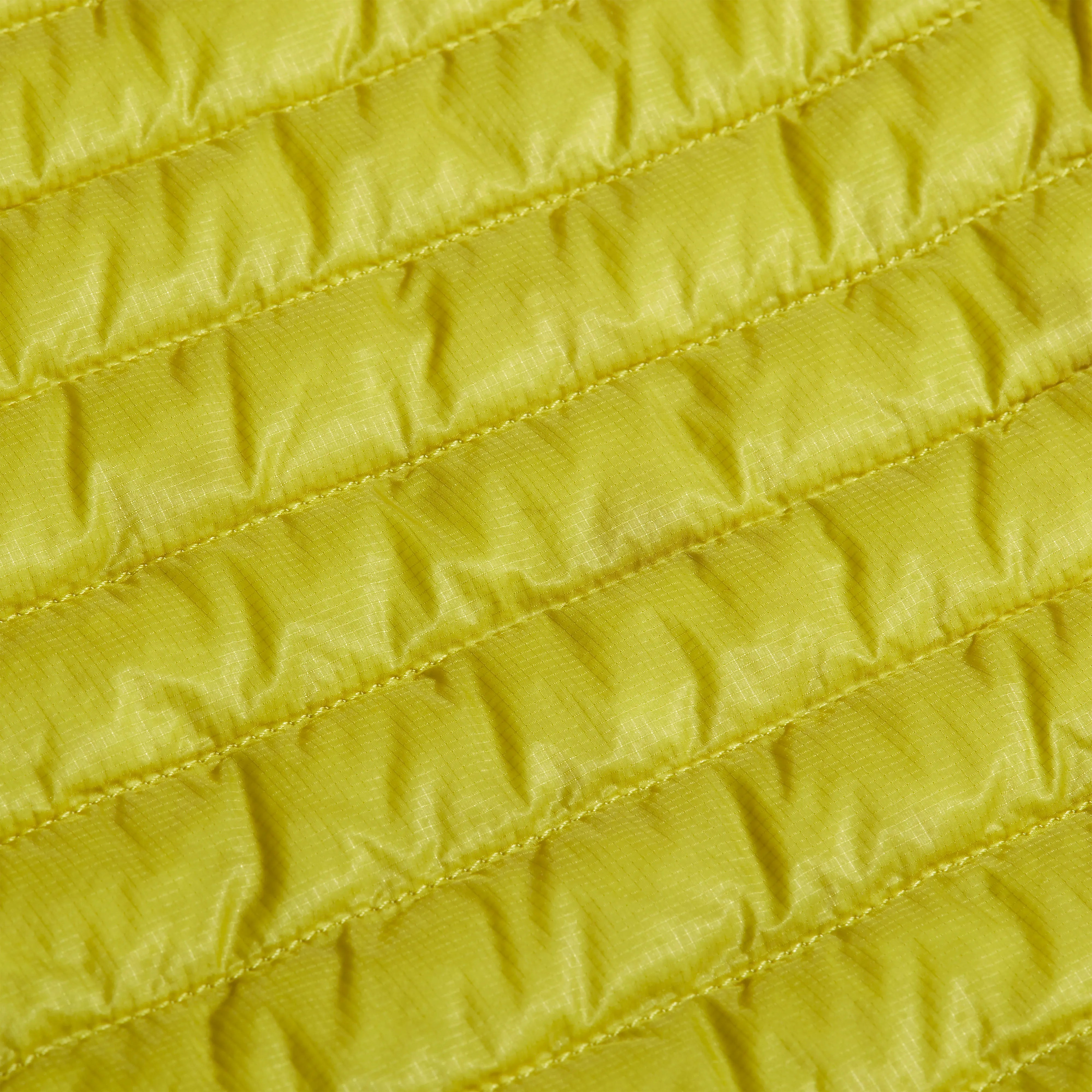 acacia