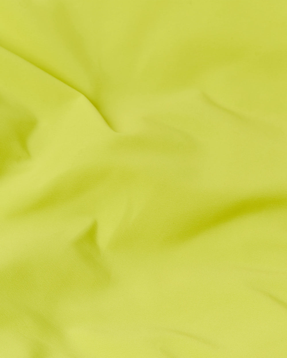 acacia