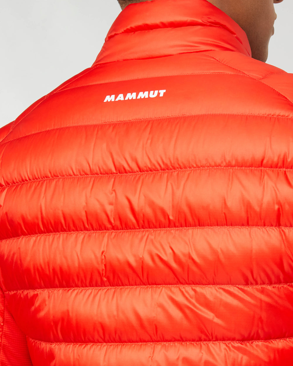 mammut red