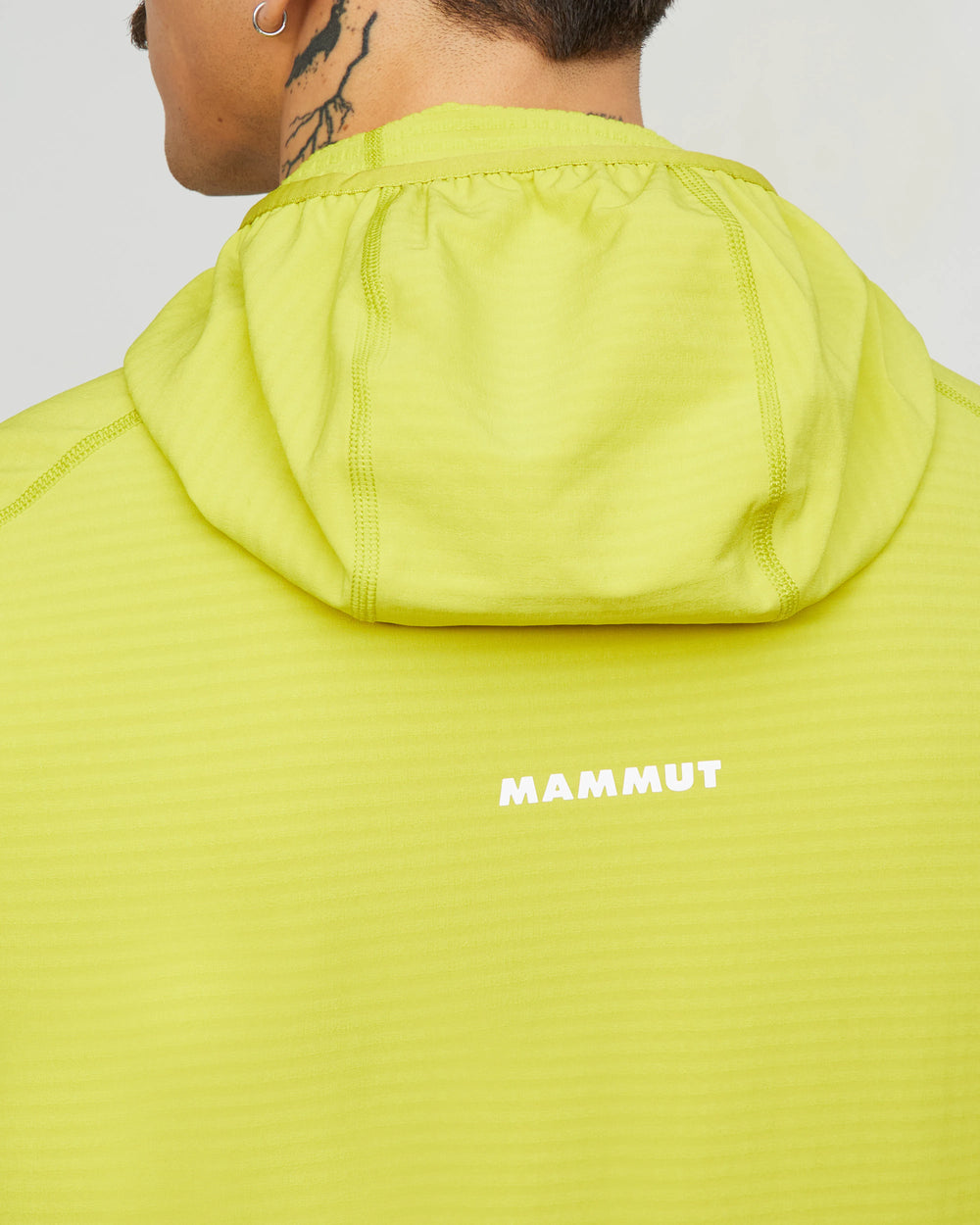 acacia-holunder