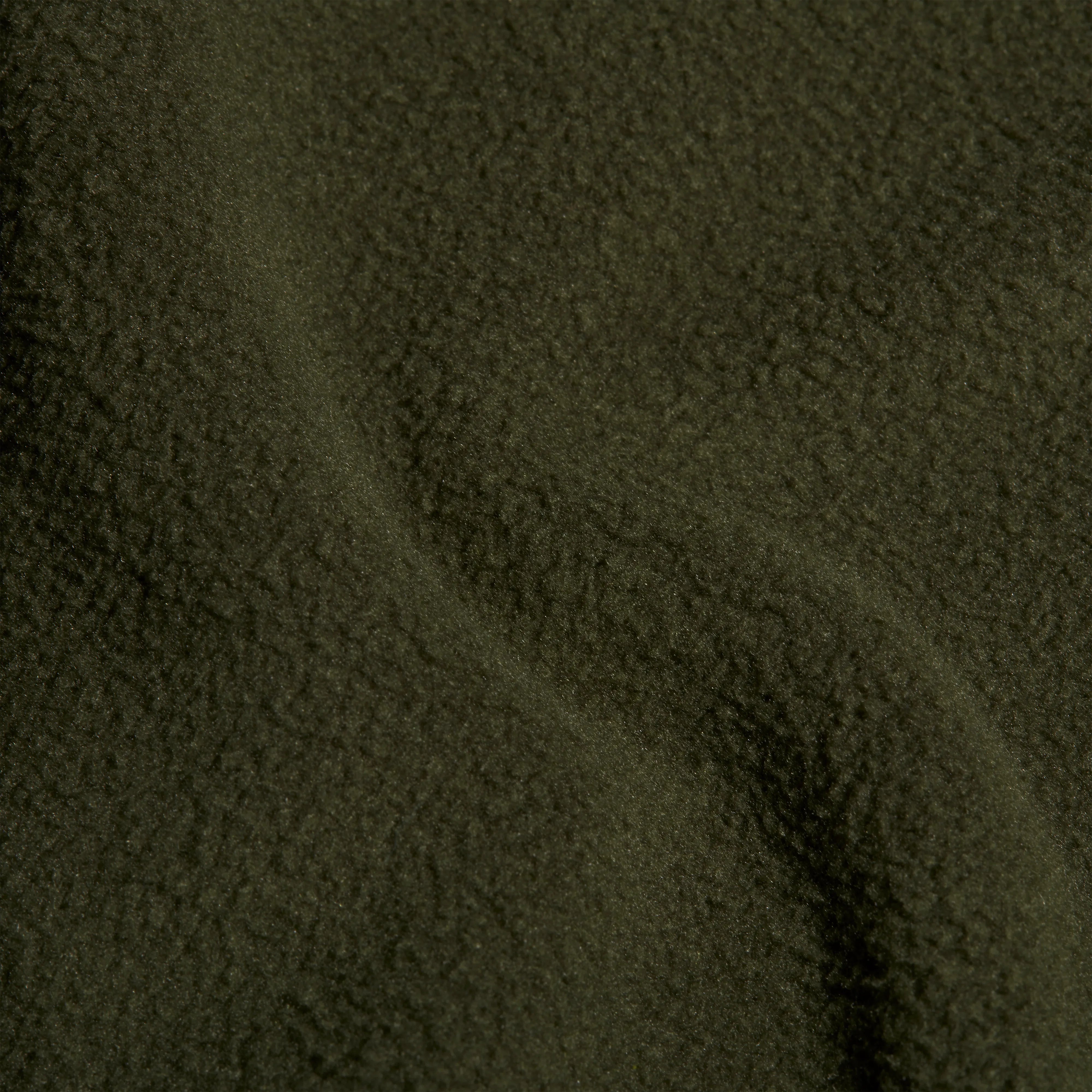 dark marsh