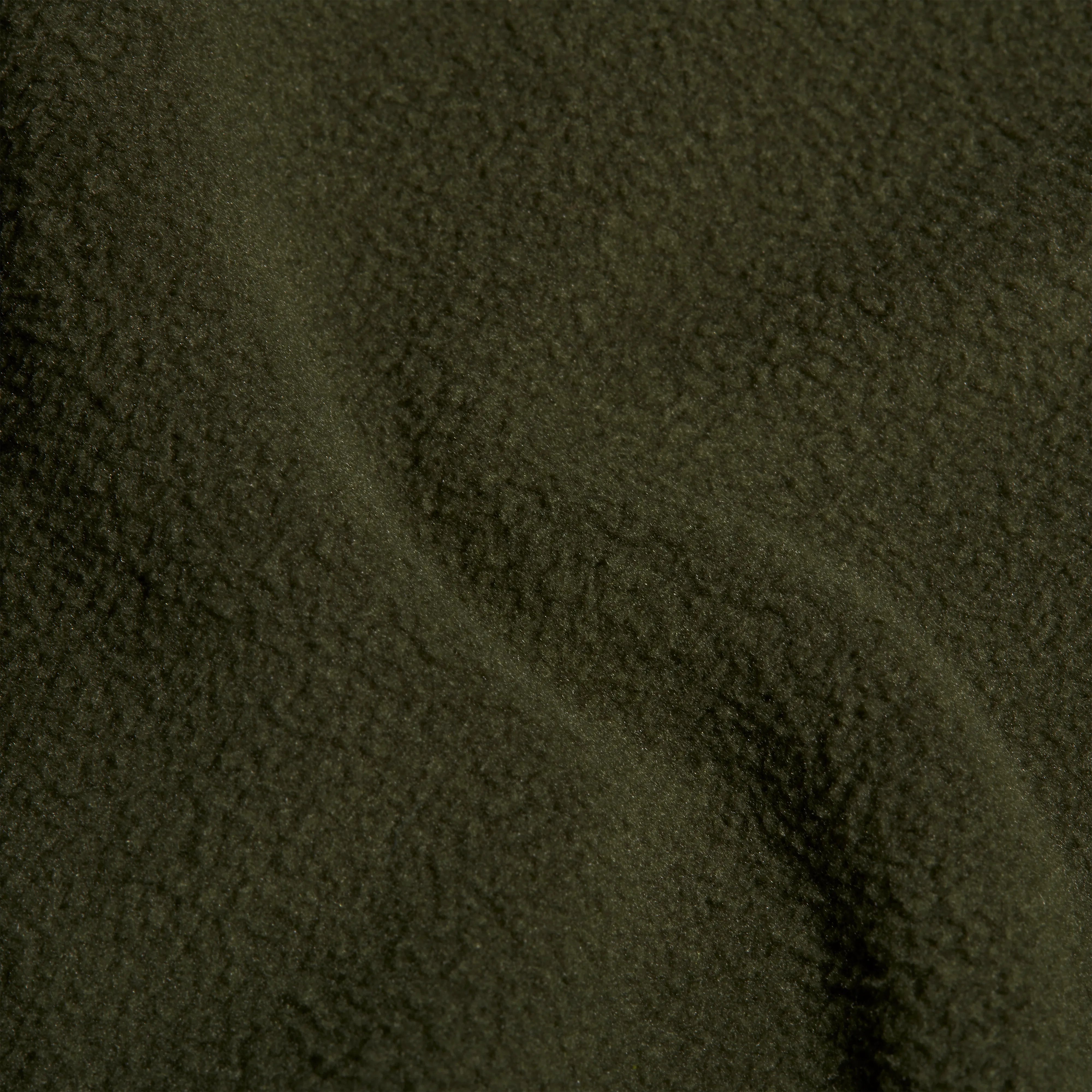 dark marsh