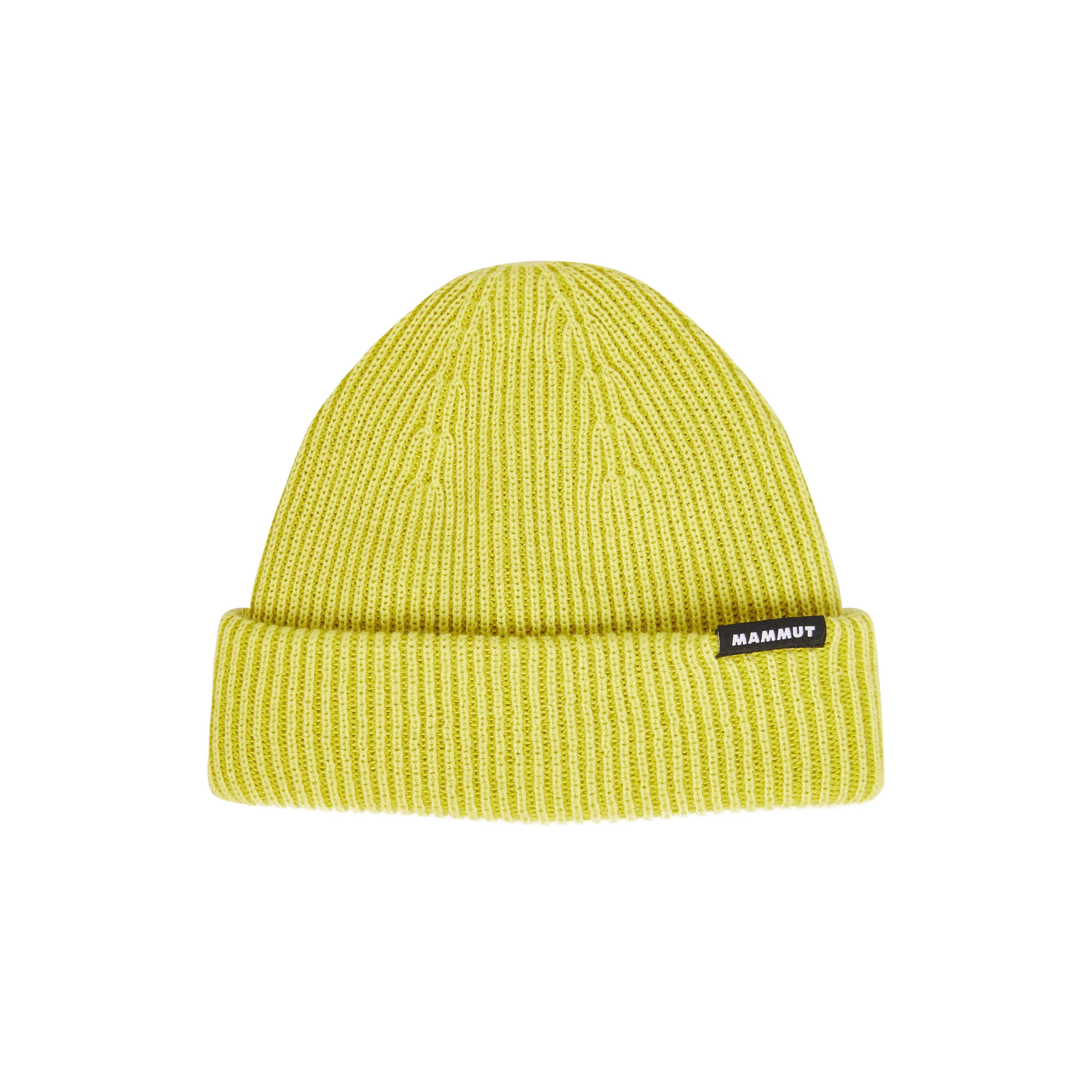 acacia-holunder