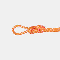 Vibrant Orange-White