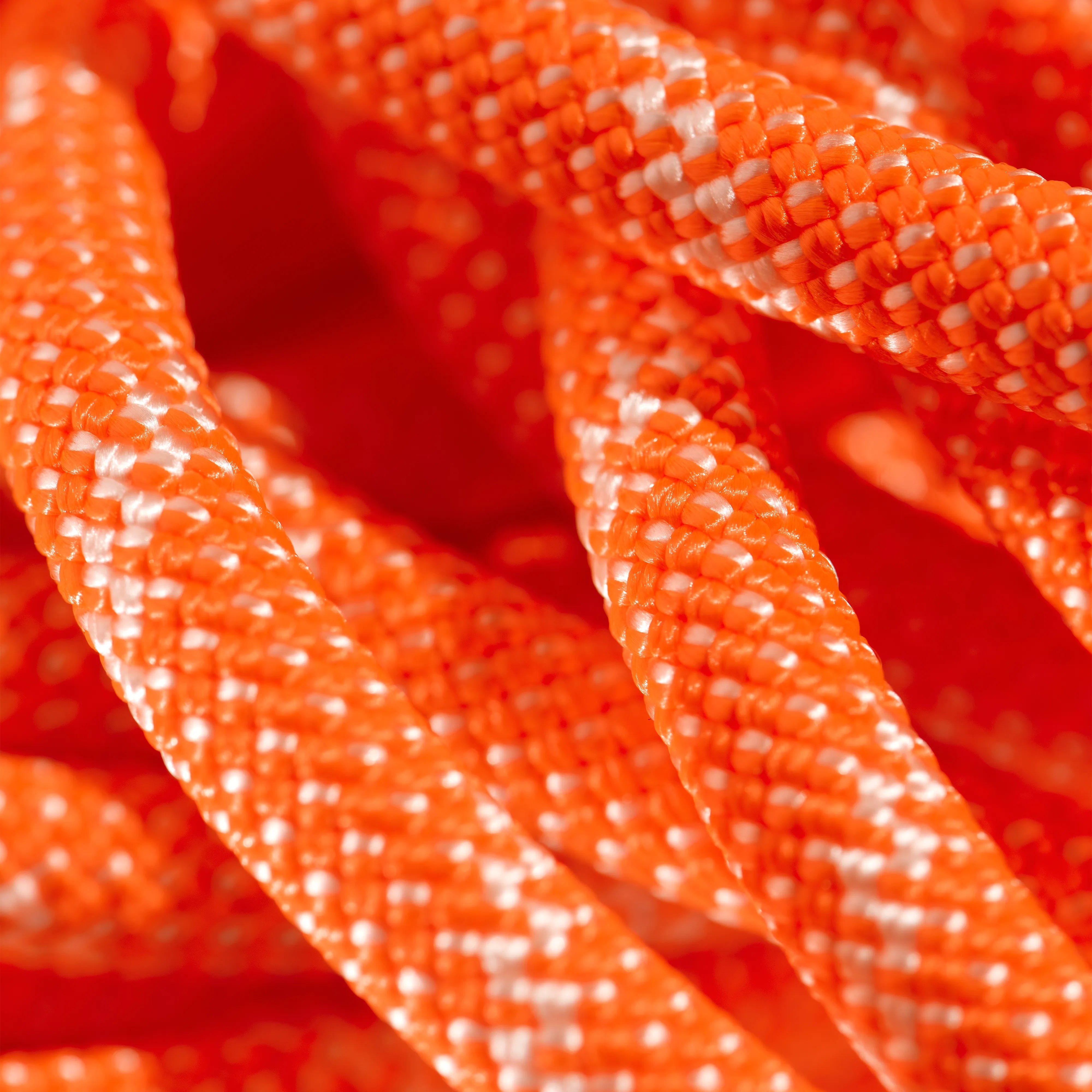orange-white