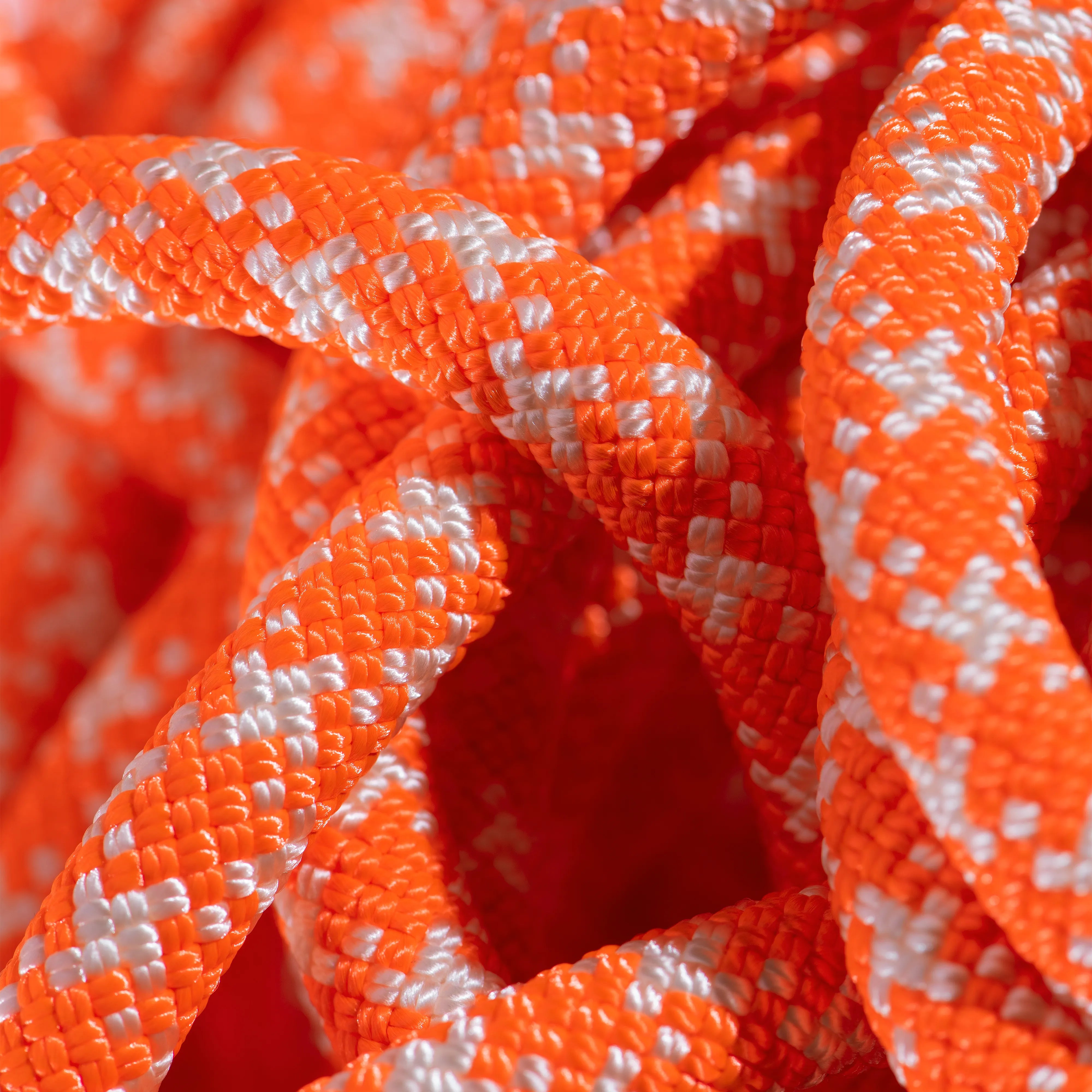 Vibrant Orange-White