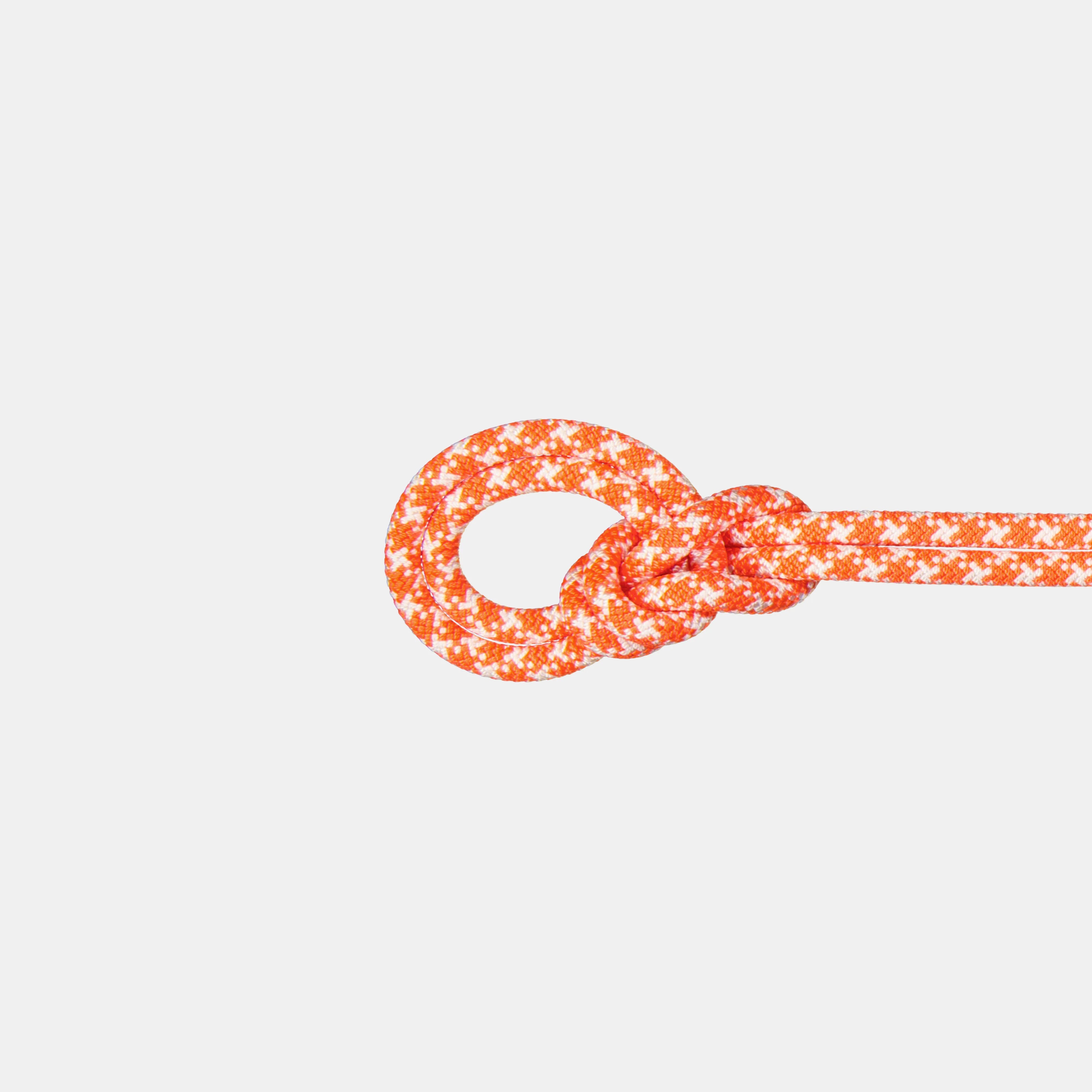 Vibrant Orange-White