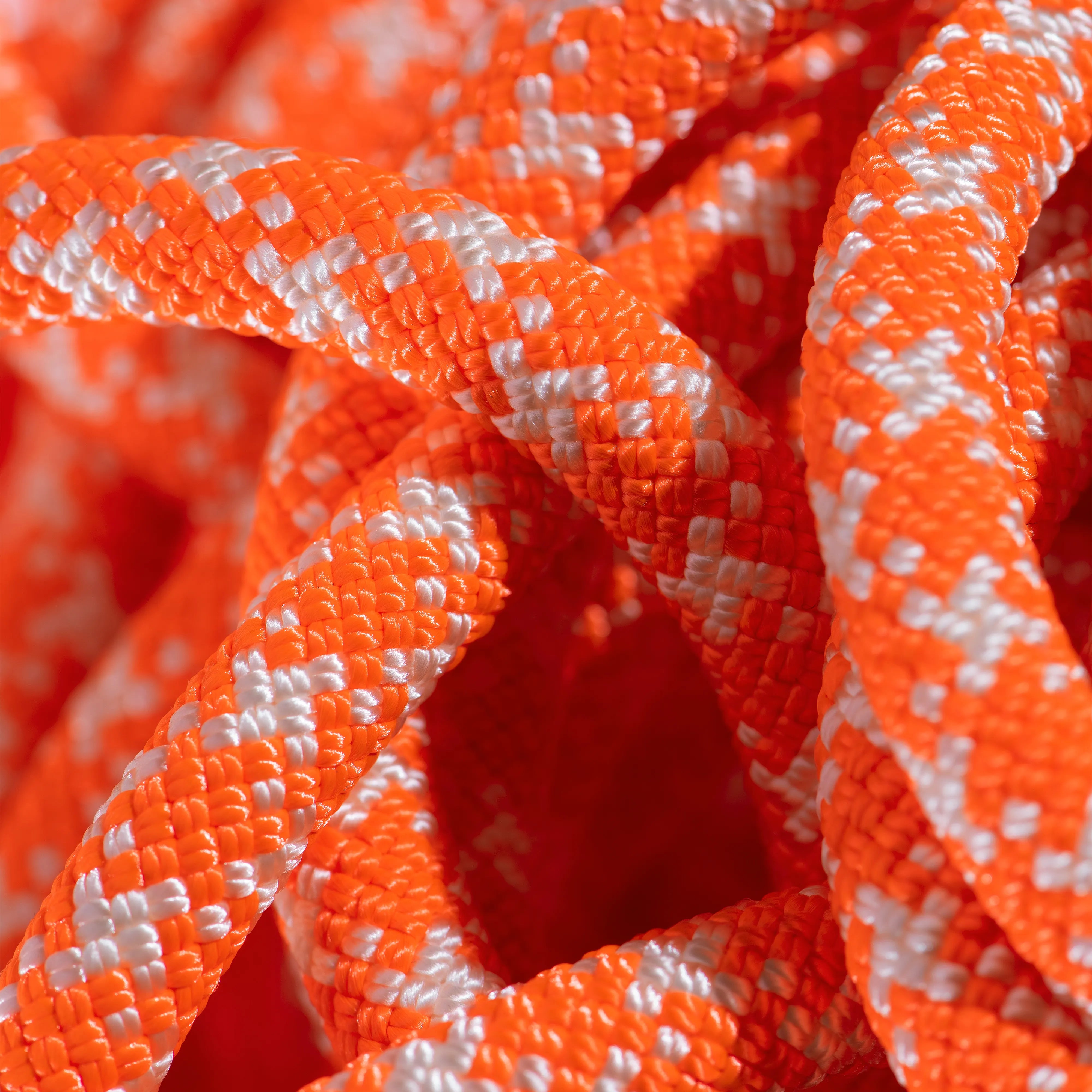 Vibrant Orange-White