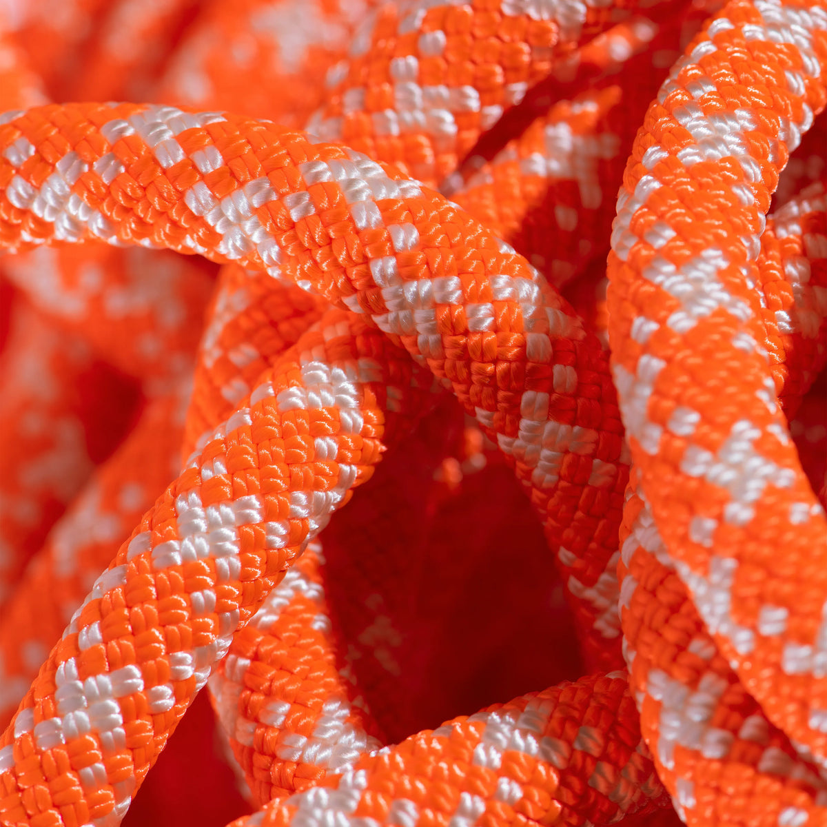 Vibrant Orange-White