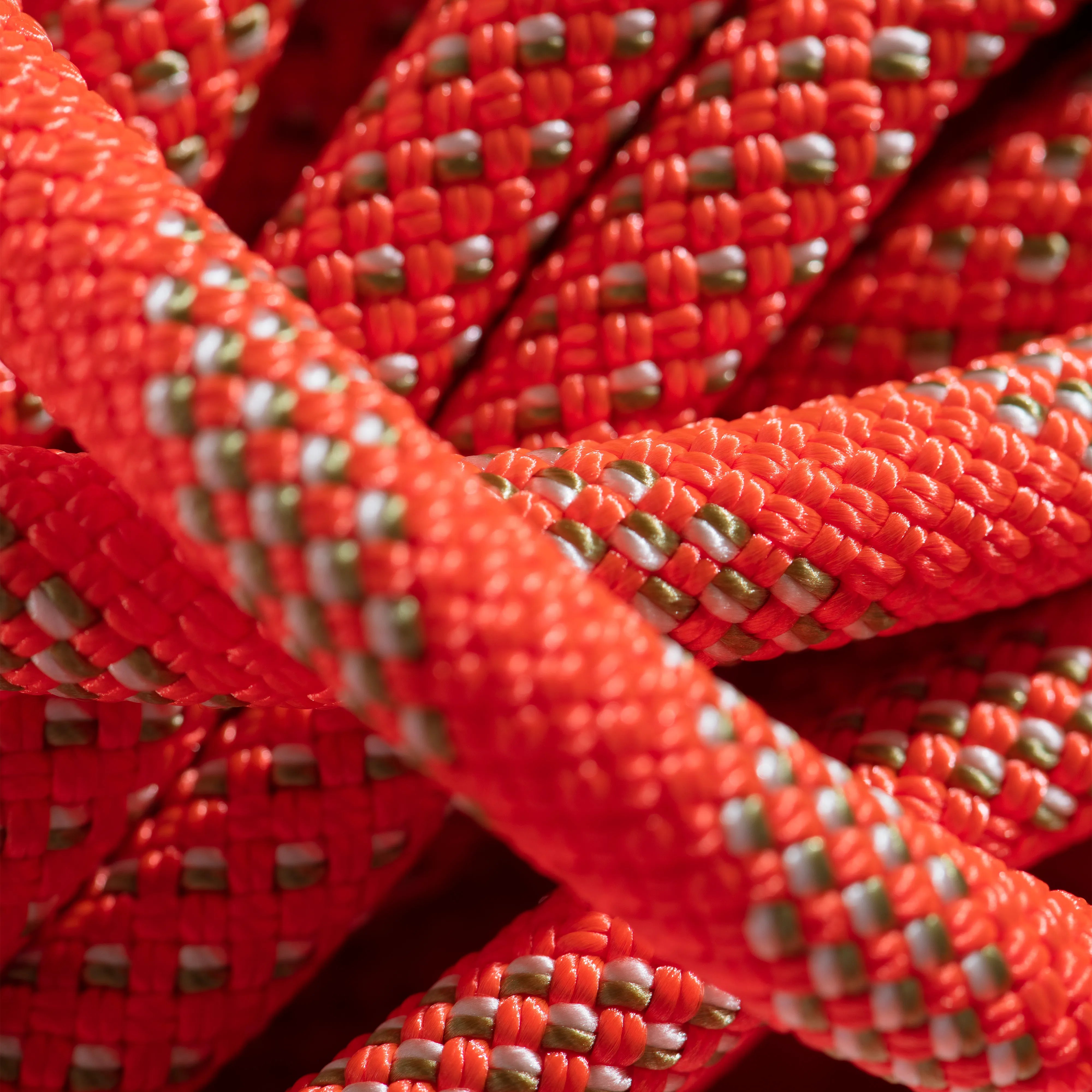 Vibrant Orange-White