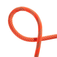 Vibrant Orange-White