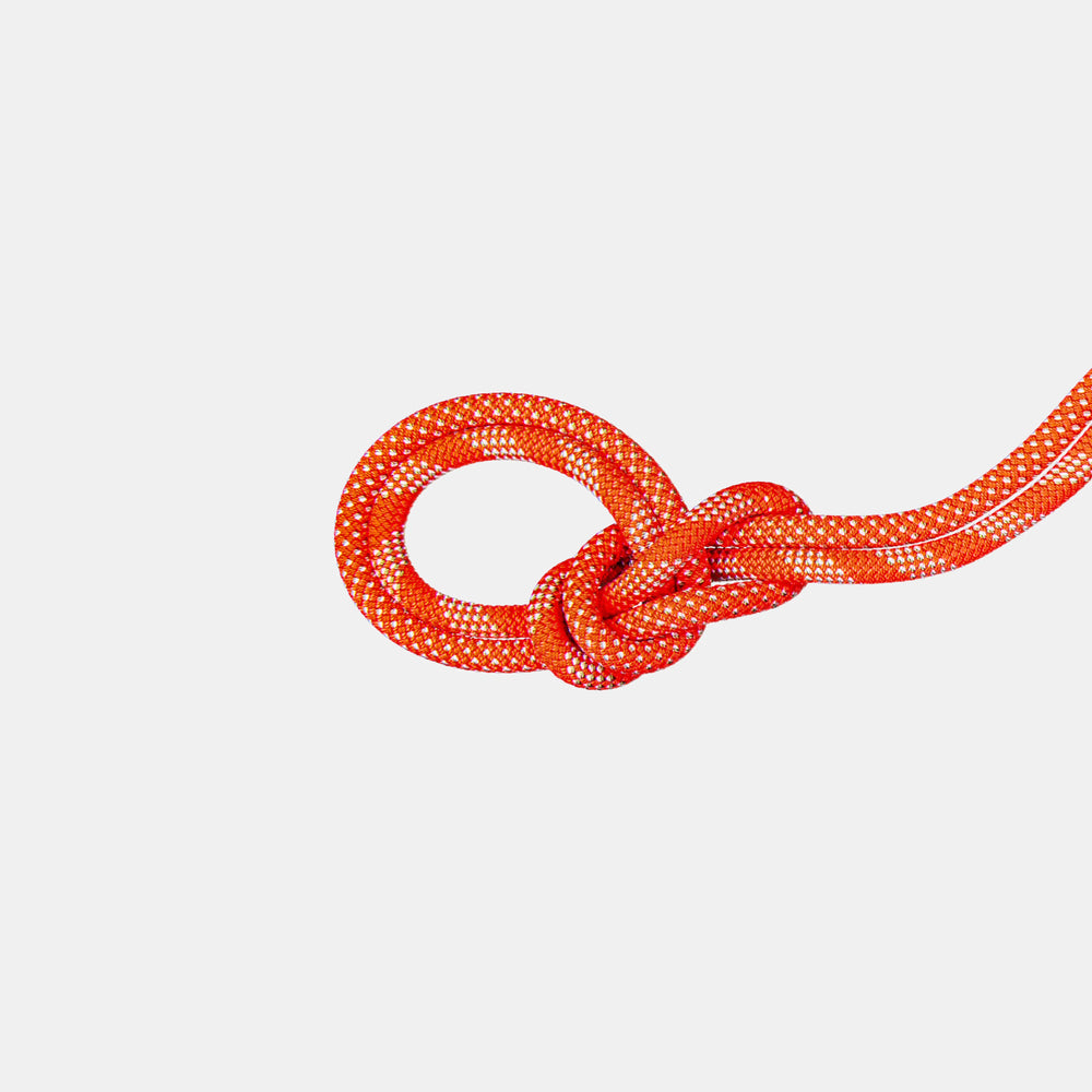Vibrant Orange-White