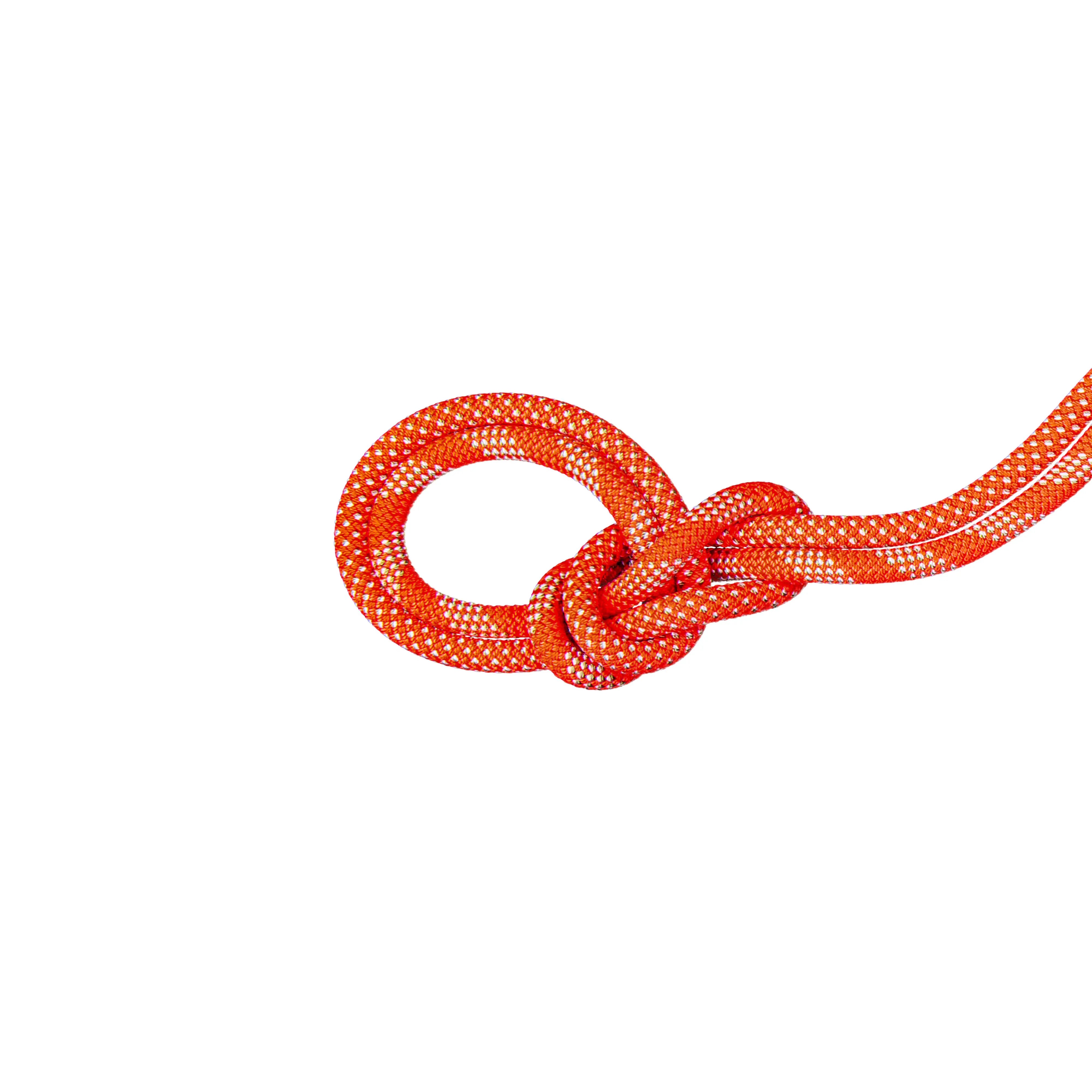 Vibrant Orange-White
