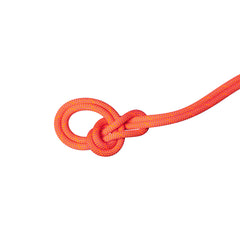 vibrant orange-lavandin