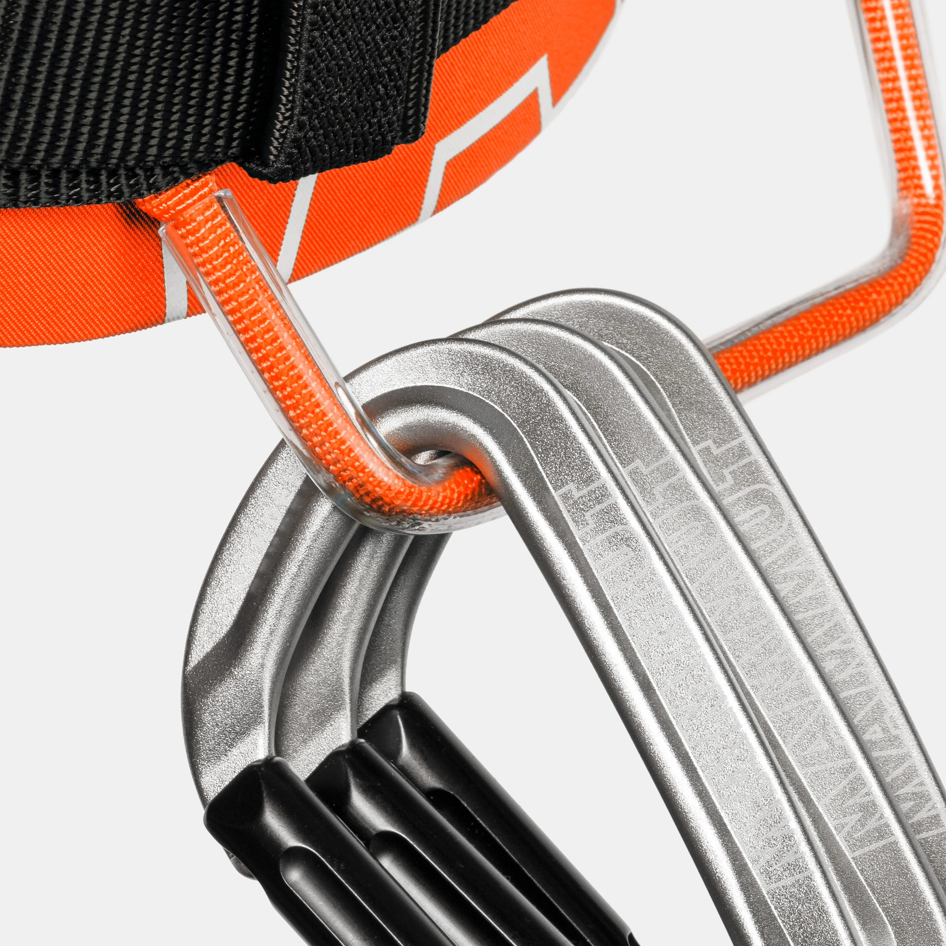 vibrant orange-black