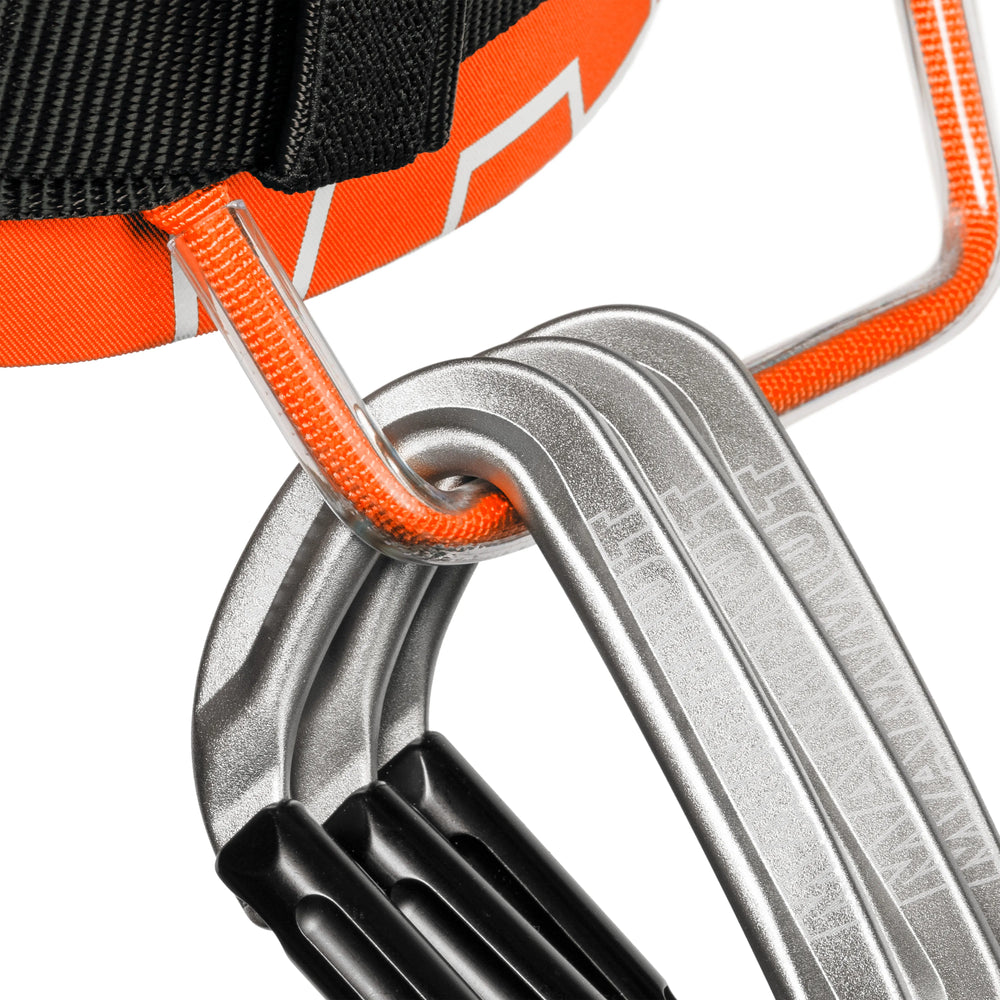 vibrant orange-black