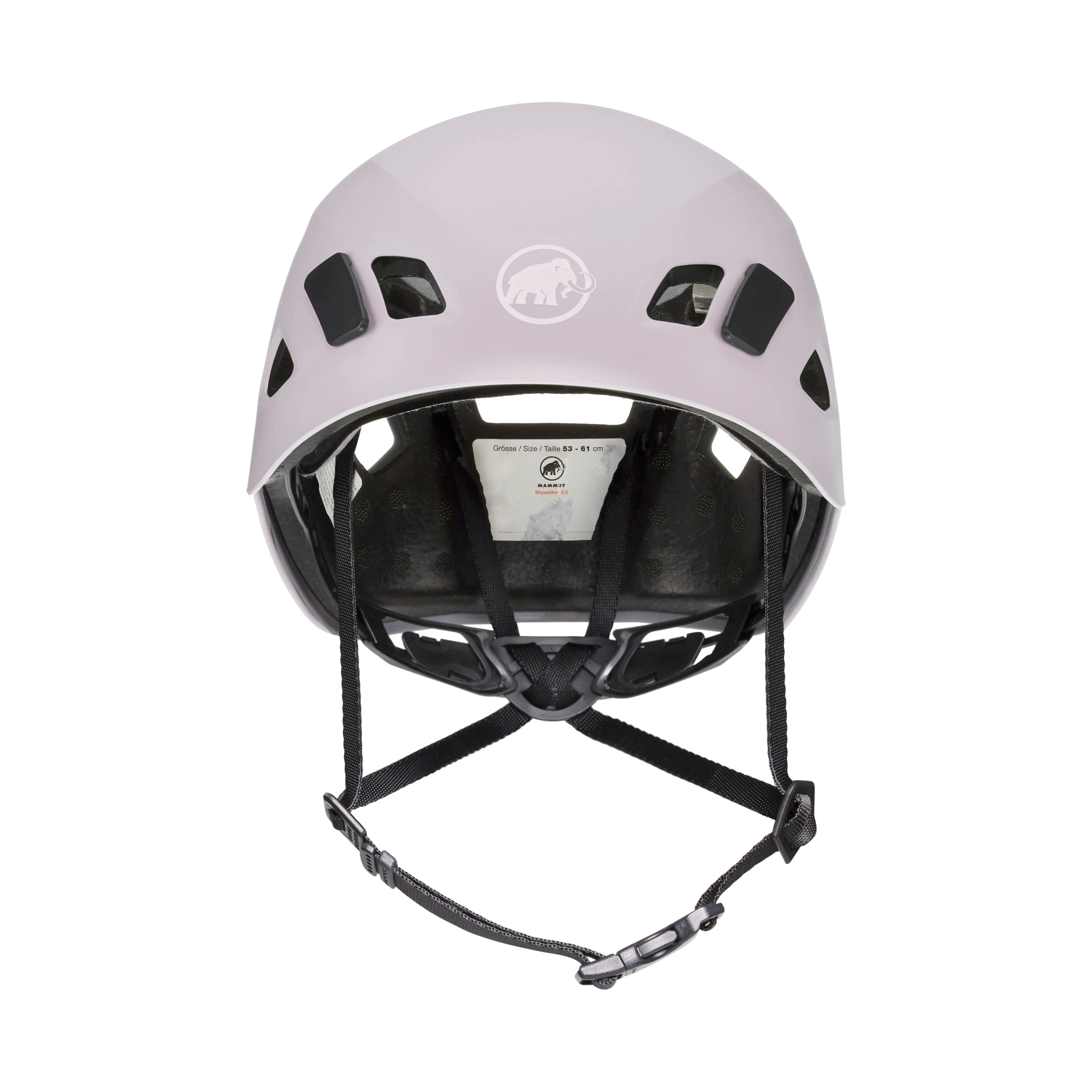 alpine calamint