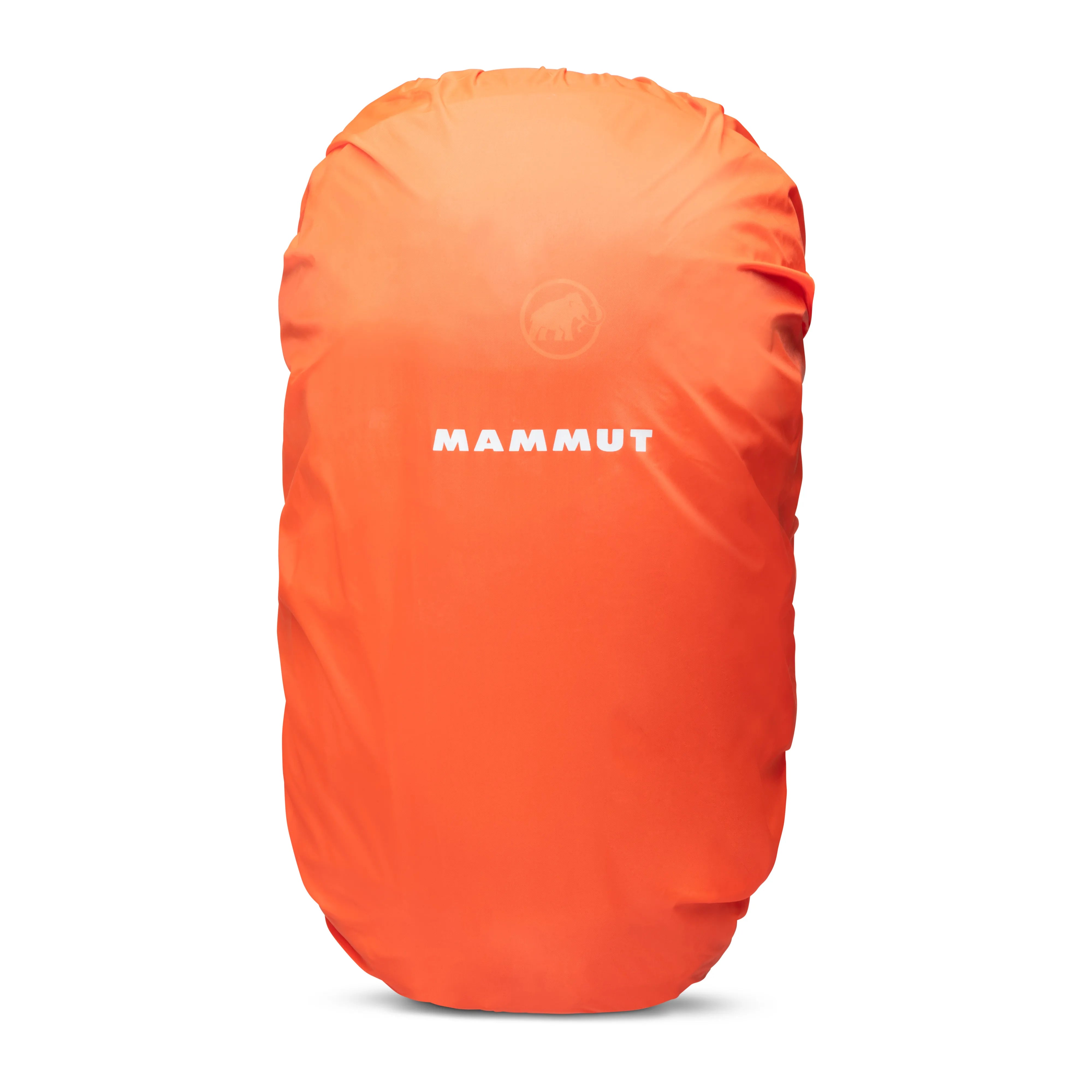 20 L