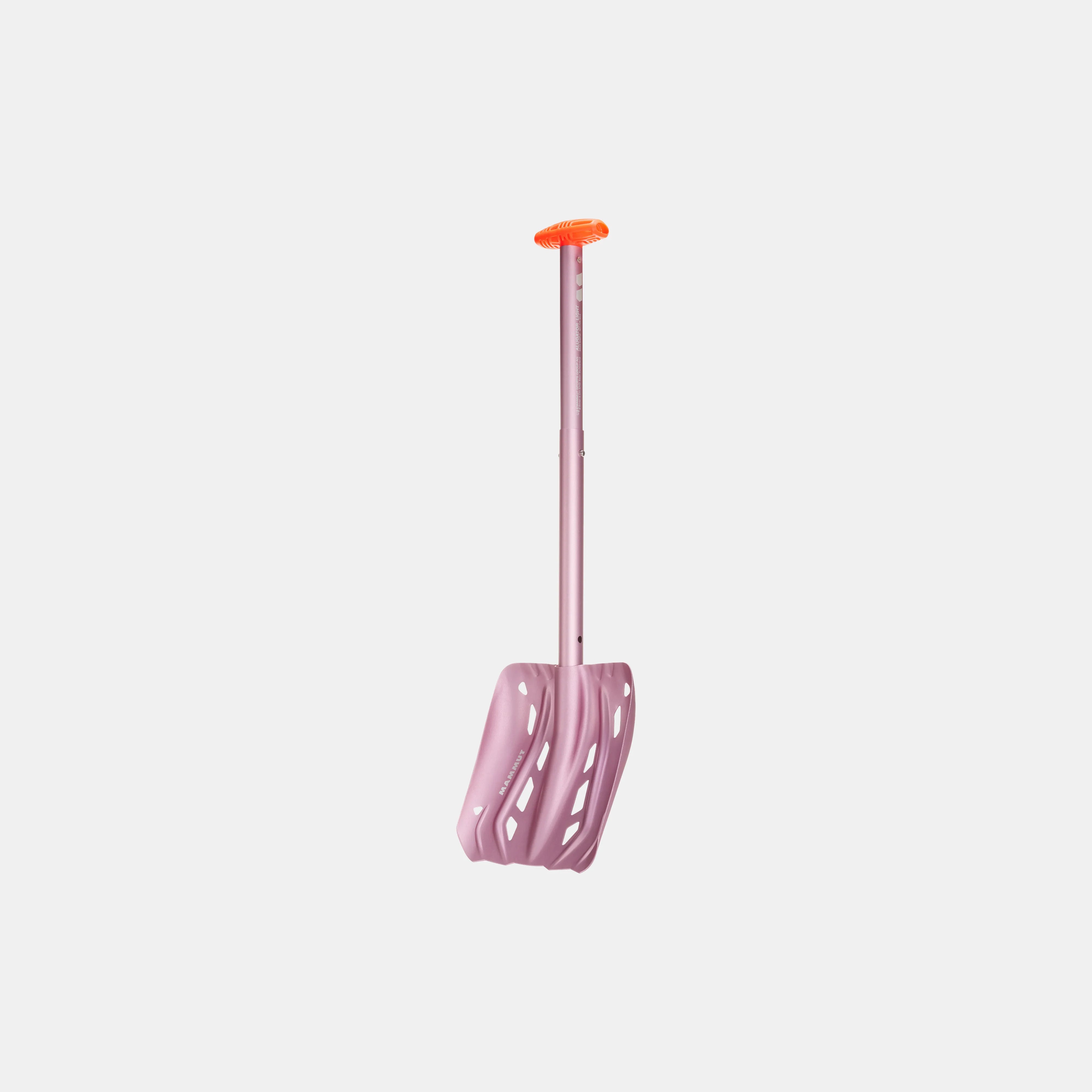 dragon fruit